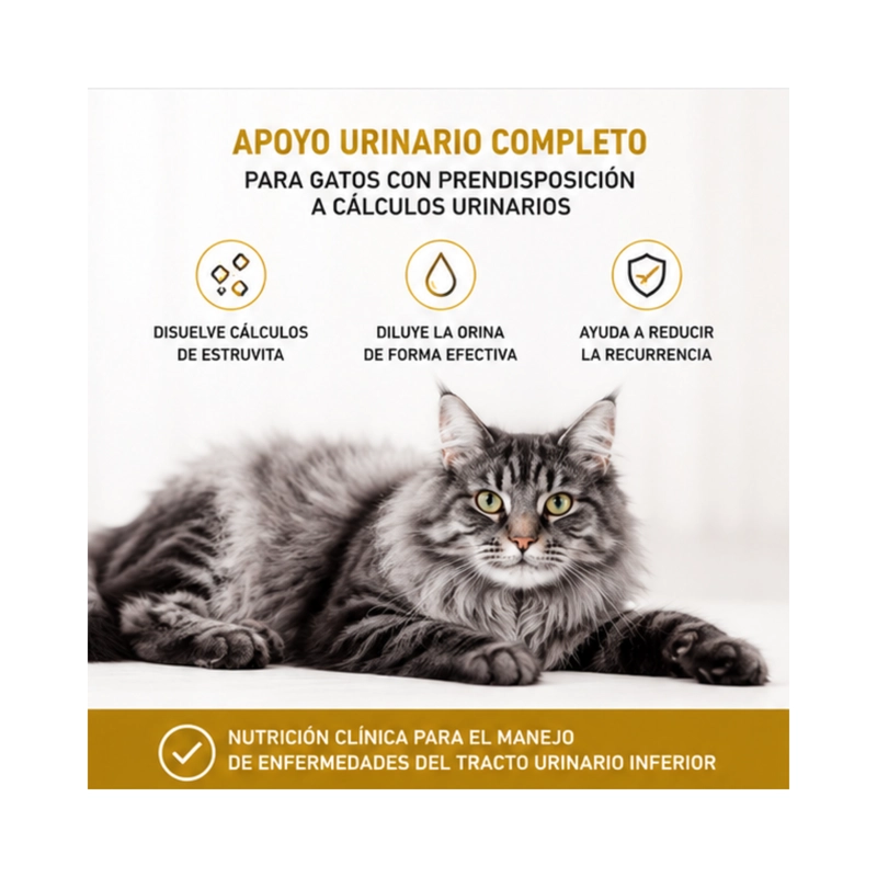 ROYAL CANIN URINARY S/O GATOS LATA 145GR | PACK 6 LATAS - 3