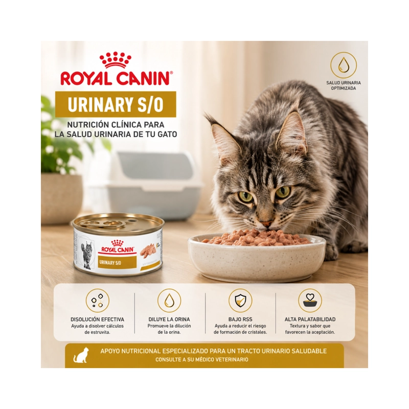 ROYAL CANIN URINARY S/O GATOS LATA 145GR | PACK 6 LATAS - 5
