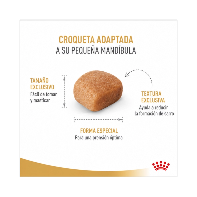 ROYAL CANIN PERRO RAZA CHIHUAHUA ADULTO 1KG - 4