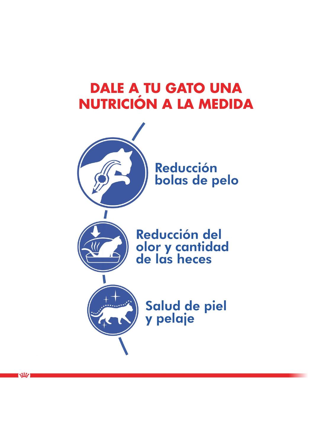 ALIMENTO ROYAL CANIN GATO INDOOR LONG HAIR 1,5KG - 3