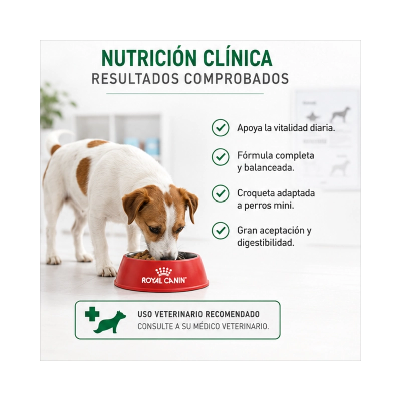 ROYAL CANIN MINI ADULTO SACO 1 KILO - 3