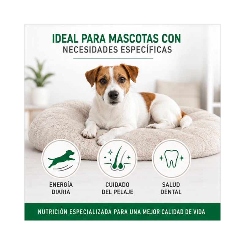 ROYAL CANIN MINI ADULTO SACO 1 KILO - 4