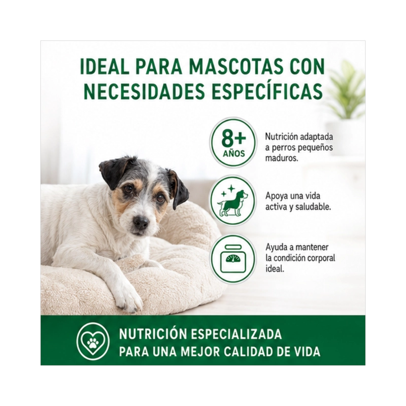 ROYAL CANIN MINI ADULTO SACO 1 KILO - 9