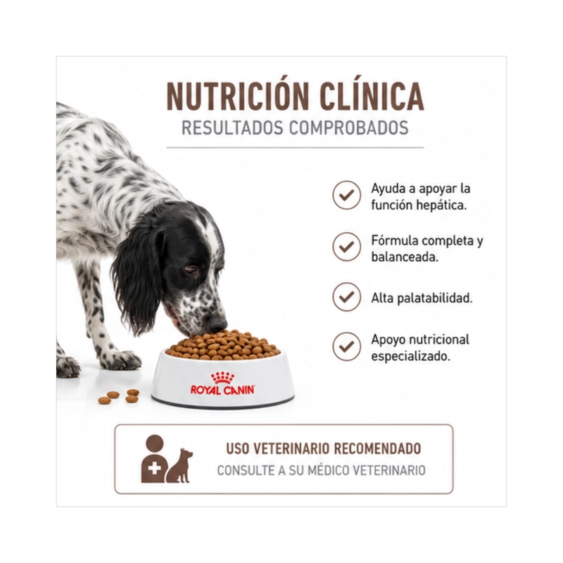 ROYAL CANIN HEPATIC SACO 10 KILO - 3