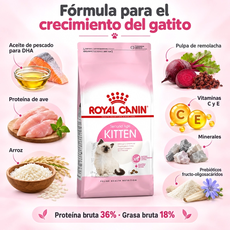 ROYAL FELINE KITTEN GATO CACHORRO 1.5 KILO - 6