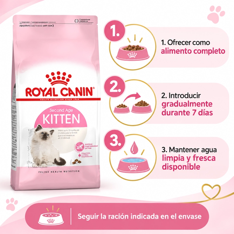 ROYAL FELINE KITTEN GATO CACHORRO 1.5 KILO - 7