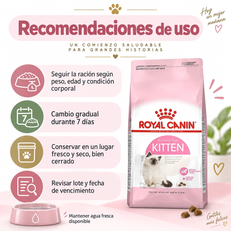 ROYAL FELINE KITTEN GATO CACHORRO 1.5 KILO - 8