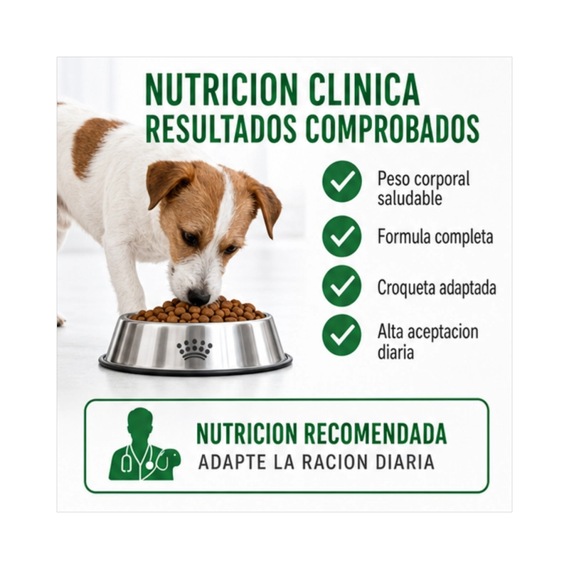 ROYAL CANIN MINI ADULTO SACO 2.5 KILO - 3