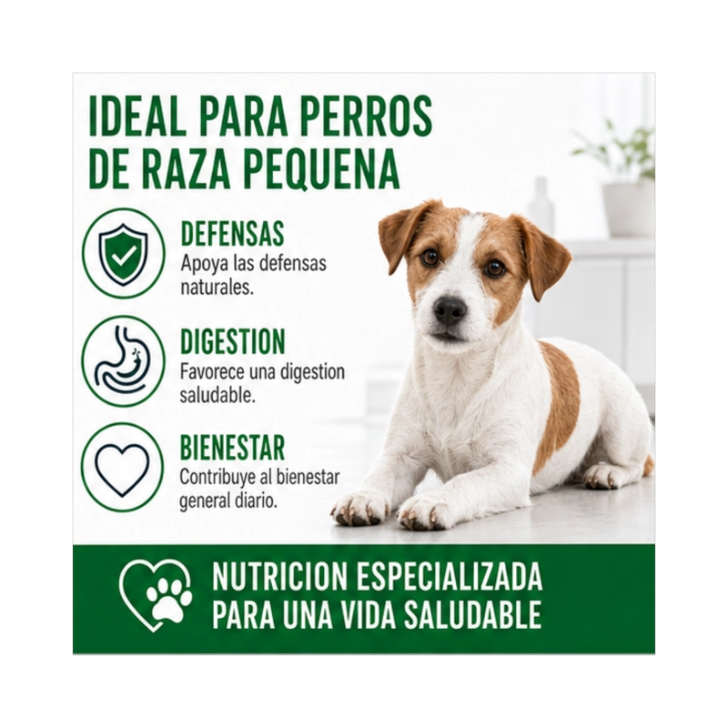 ROYAL CANIN MINI ADULTO SACO 2.5 KILO - 4