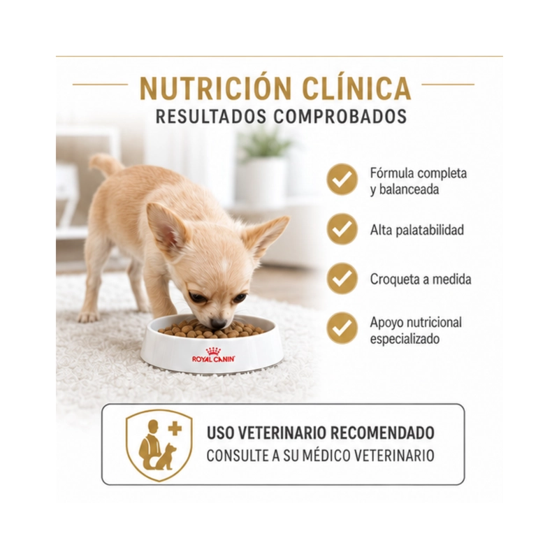 ROYAL CANIN CHIHUAHUA PUPPY 1.5 KG - 4