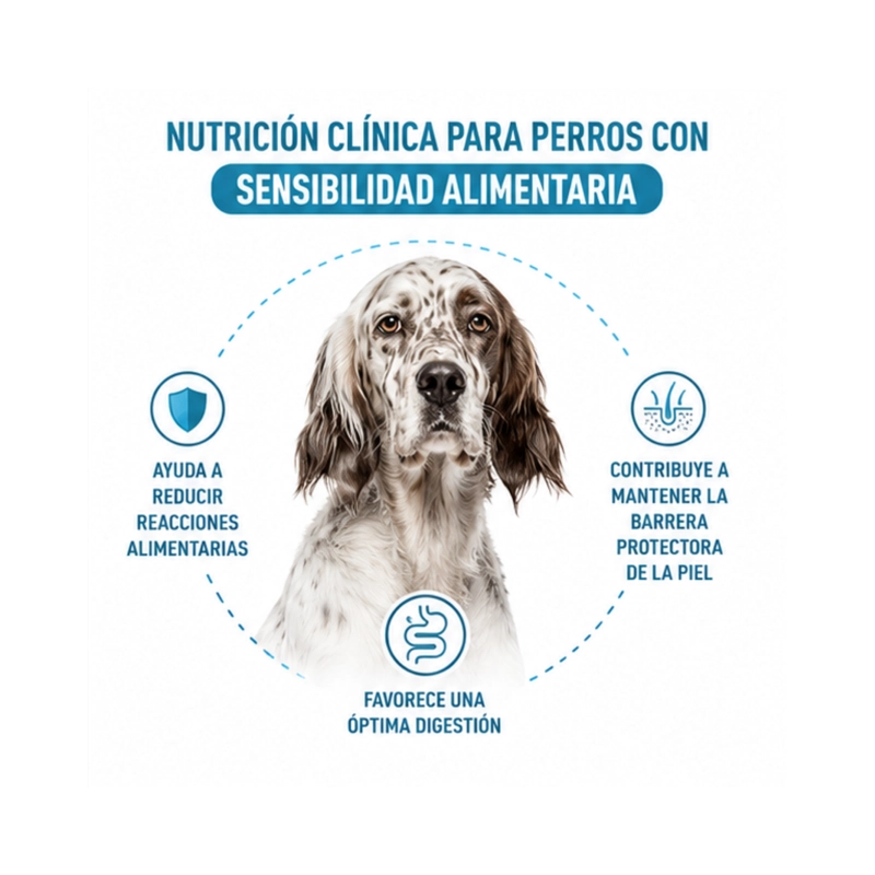 ROYAL CANIN HEALTH NUTRITION ANALLERGENIC 3KG - 4