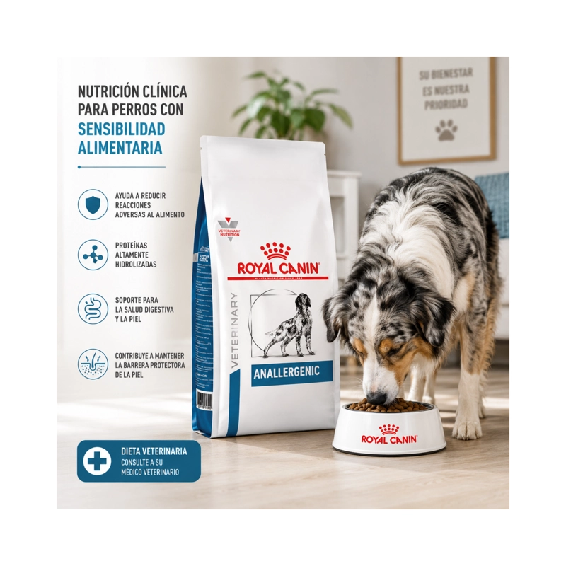 ROYAL CANIN HEALTH NUTRITION ANALLERGENIC 3KG - 6