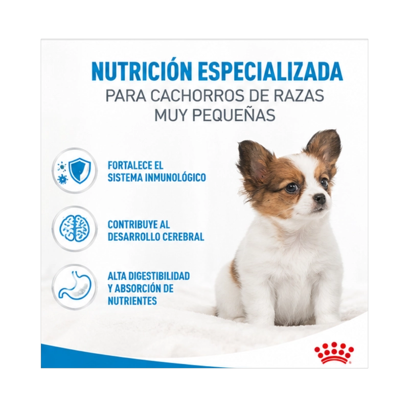 ROYAL CANIN X-SMALL PUPPY 1 KG. - 2