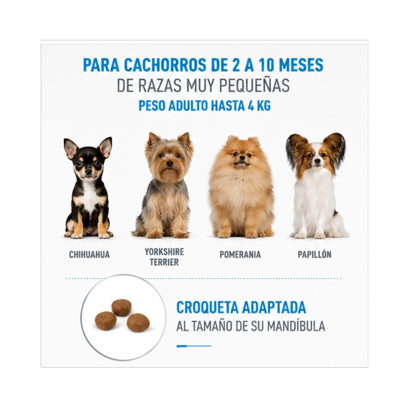 ROYAL CANIN X-SMALL PUPPY 1 KG. - 3