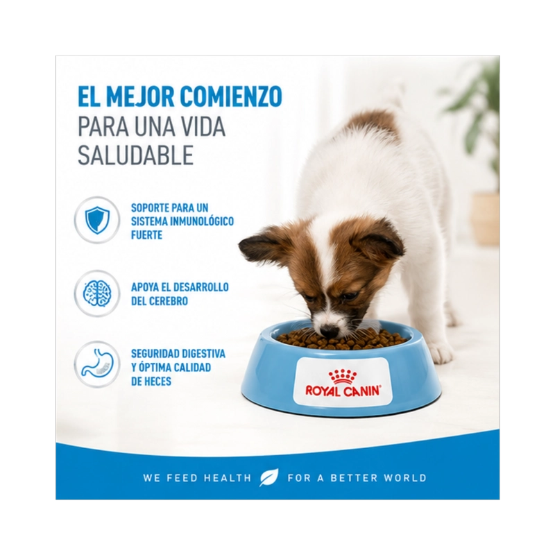 ROYAL CANIN X-SMALL PUPPY 1 KG. - 4