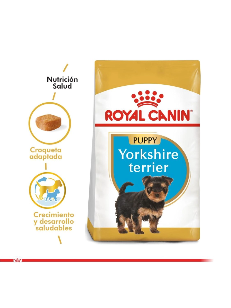 ROYAL YORKSHIRE TERRIER PUPPY SACO 1 KILO - 3