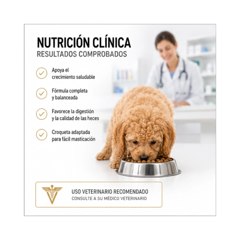 ROYAL CANIN POODLE PUPPY 3 KG - 4