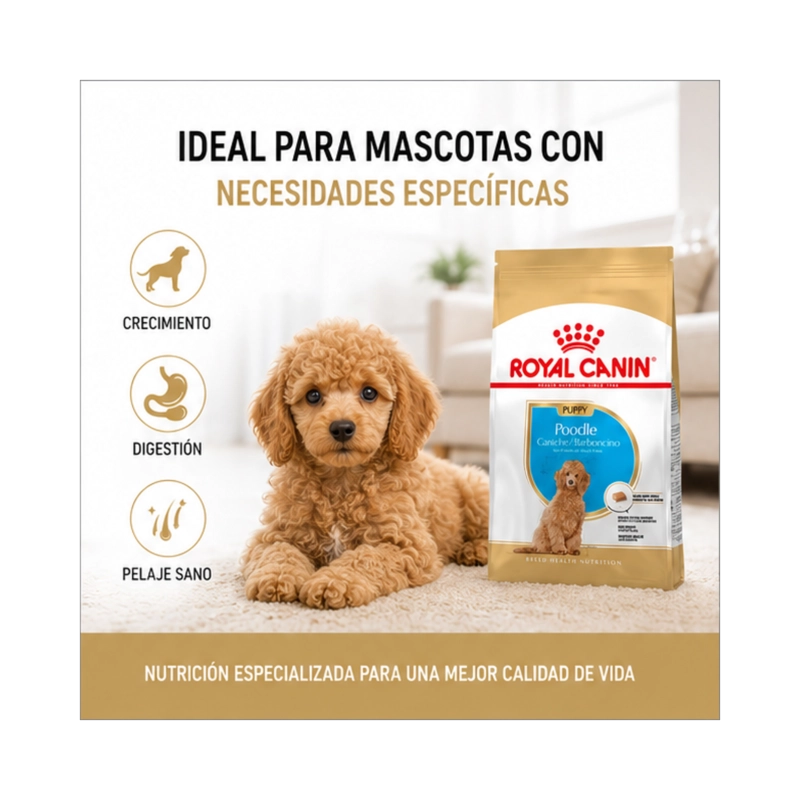ROYAL CANIN POODLE PUPPY 3 KG - 5