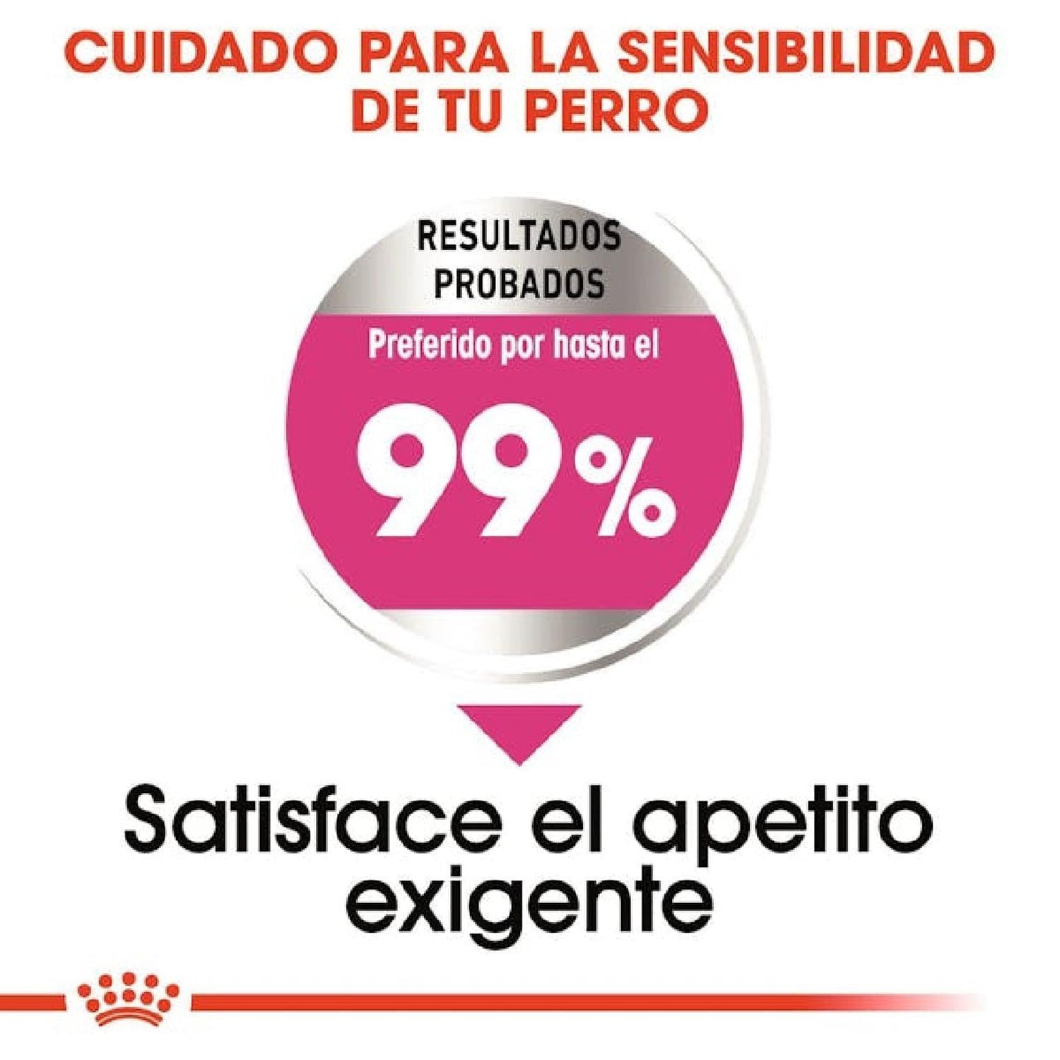 ALIMENTO ROYAL CANIN EXIGENT MINI 1 KG - 2