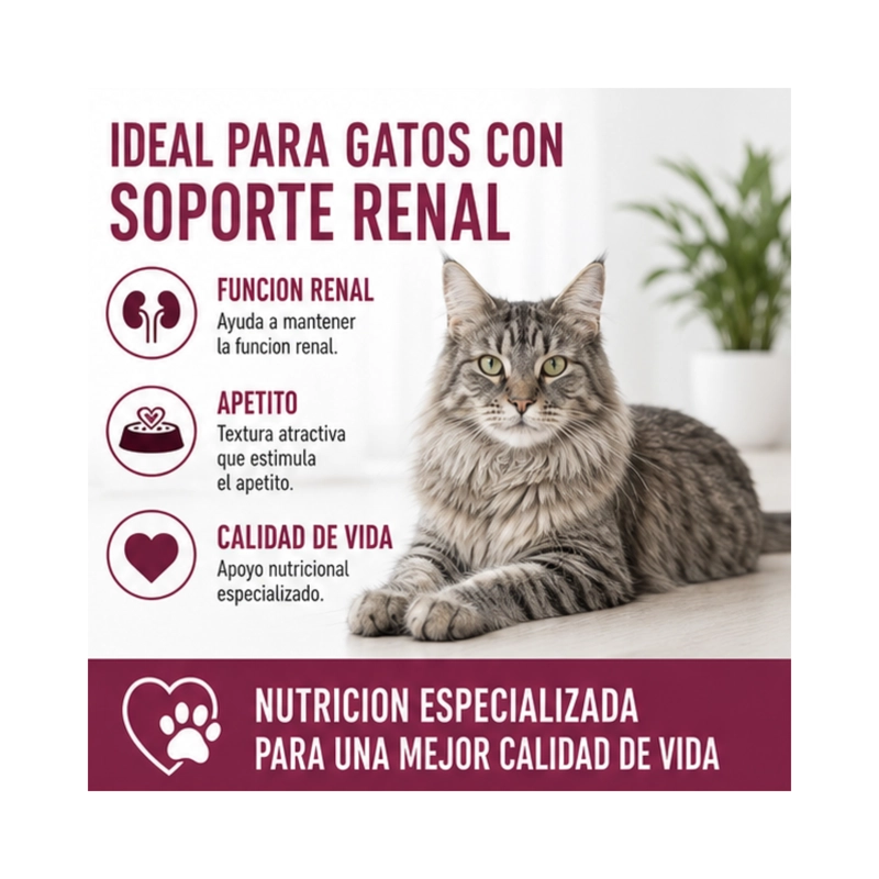 ROYAL CANIN POUCH RENAL GATO 85G | PACK 12 SOBRES - 4
