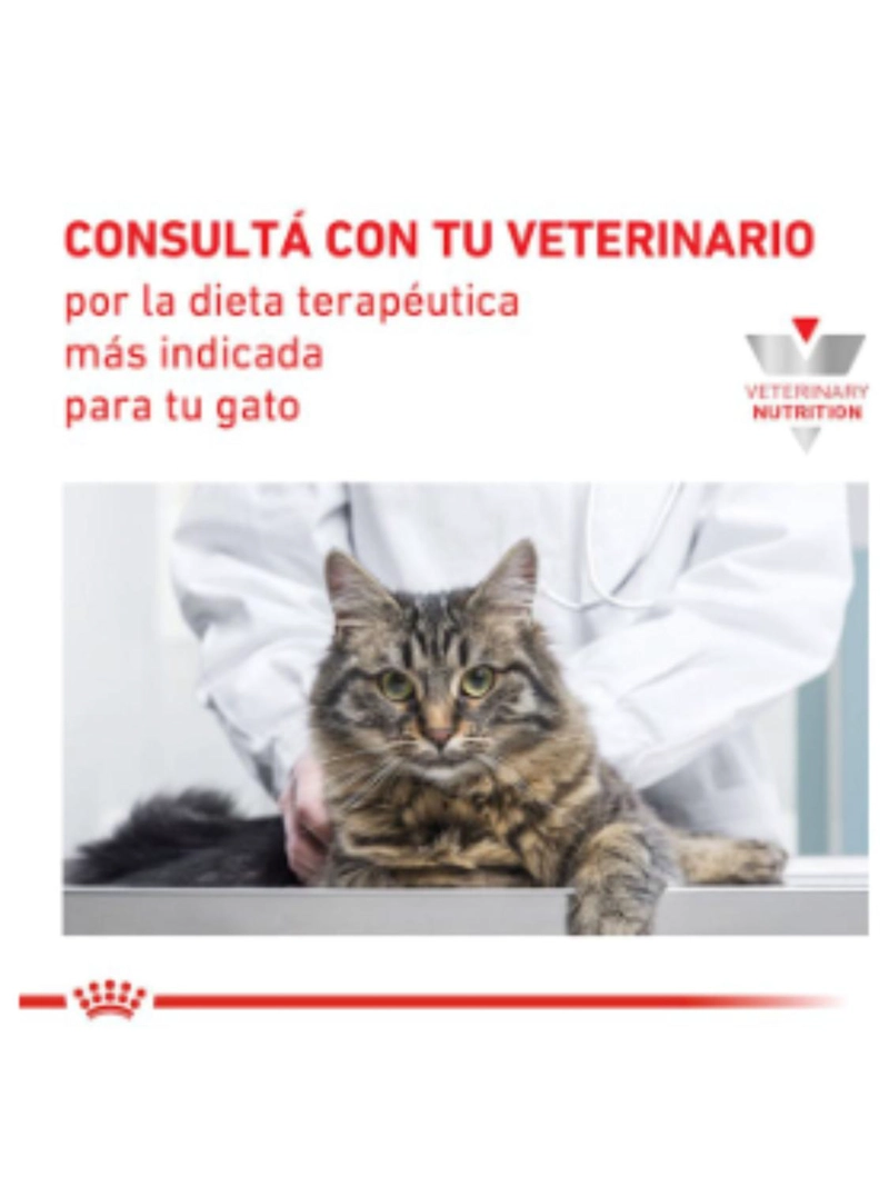 ROYAL CANIN POUCH RENAL GATO 85G | PACK 12 SOBRES - 8