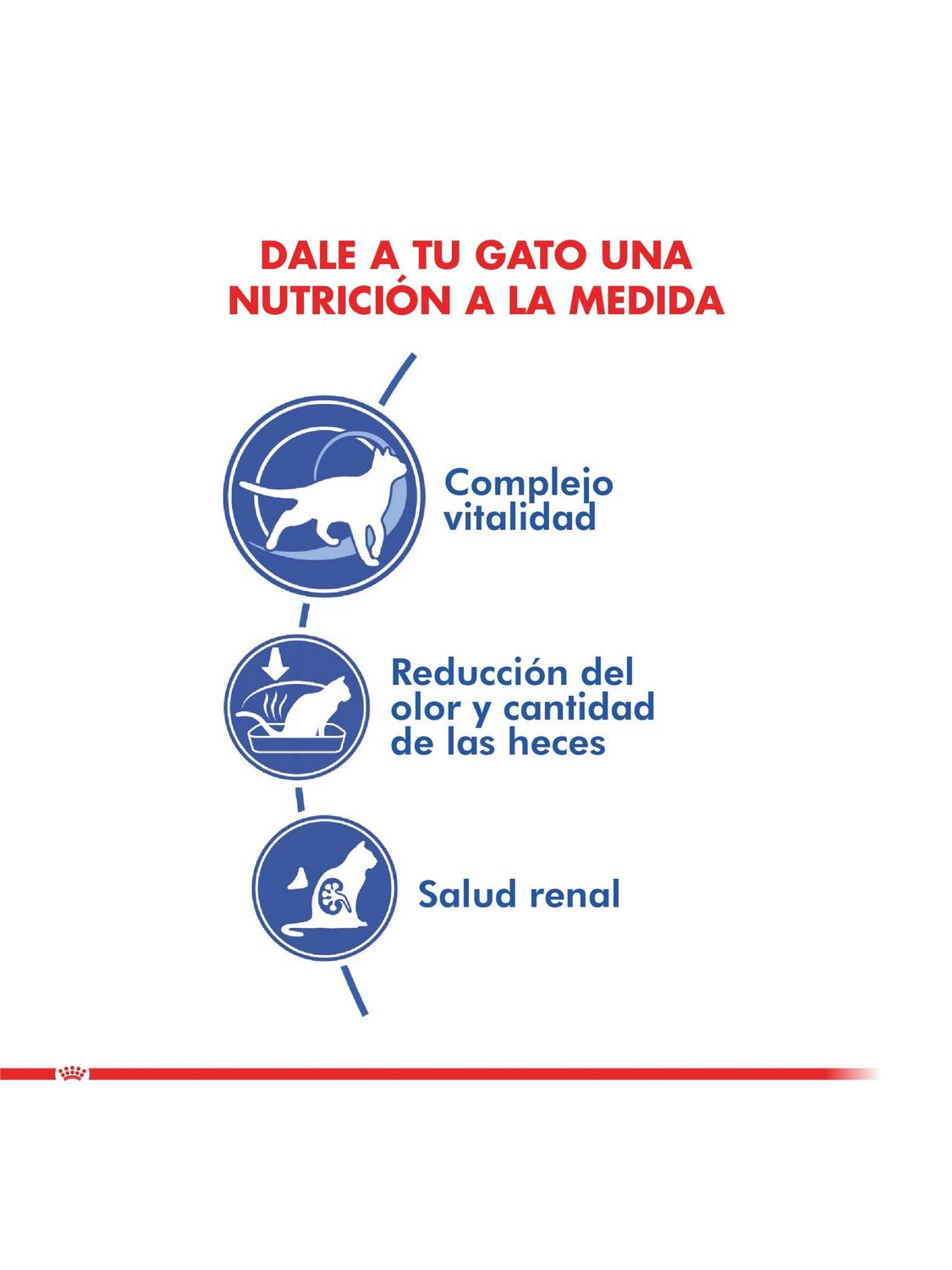 ALIMENTO ROYAL FELINE INDOOR 7+ SACO 1.5 KILO - 2