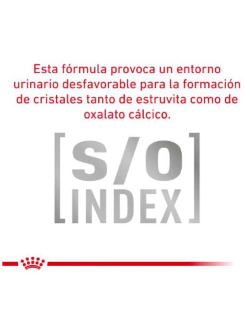 ROYAL URINARY S/O FELINE SACO 1.5 KILO - 3