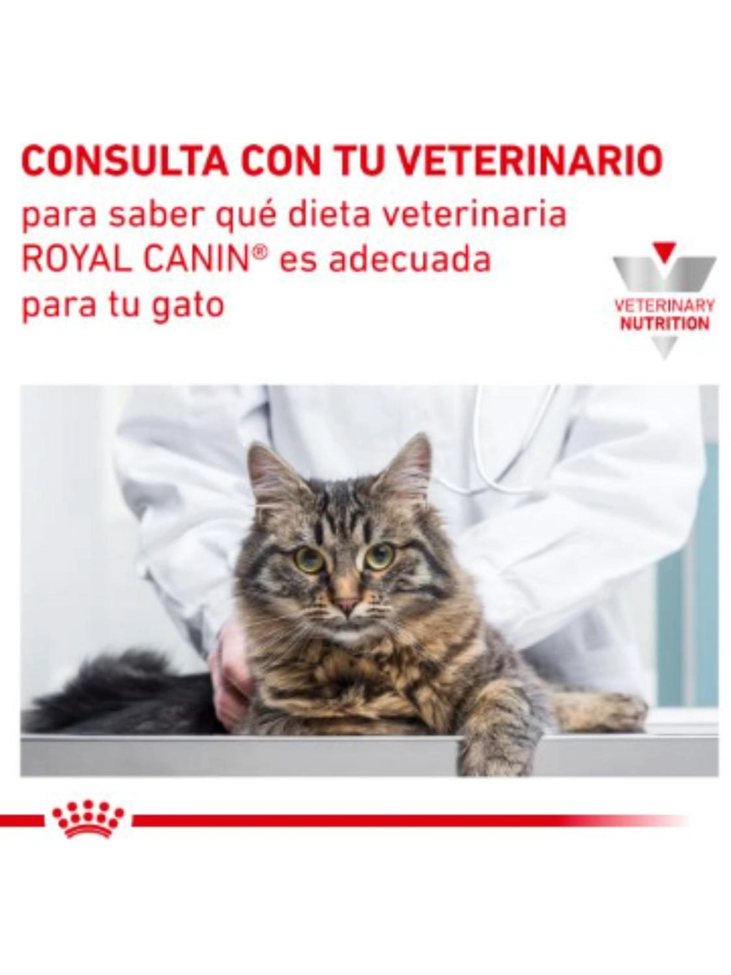 ROYAL URINARY S/O FELINE SACO 1.5 KILO - 5