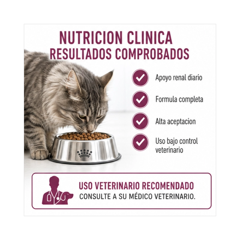 ROYAL CANIN RENAL ESPECIAL FELINE 2 KG - 4
