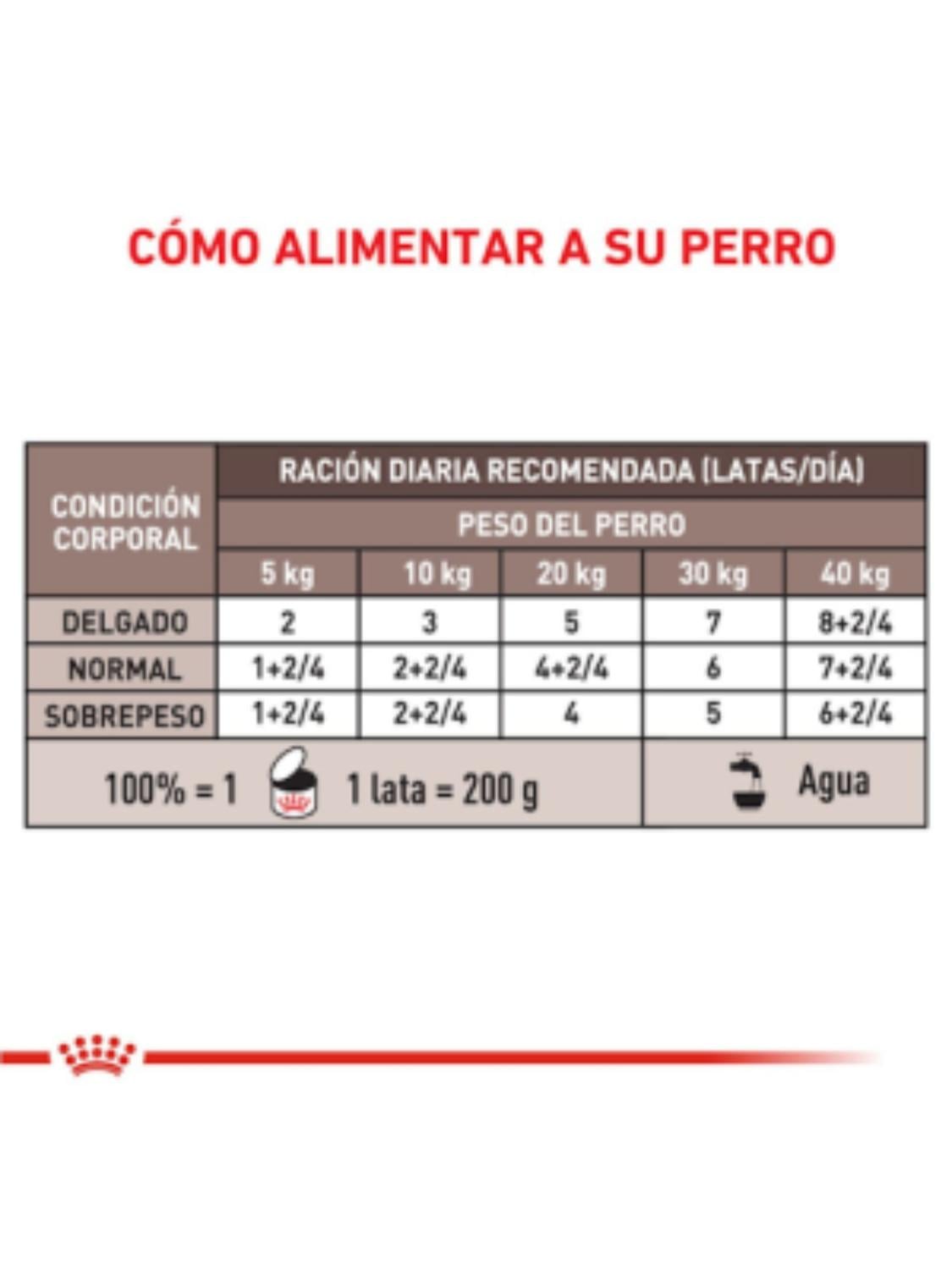 ALIMENTO ROYAL GASTROINTESTINAL CANINE PUPPY LATA 195 GR - 2