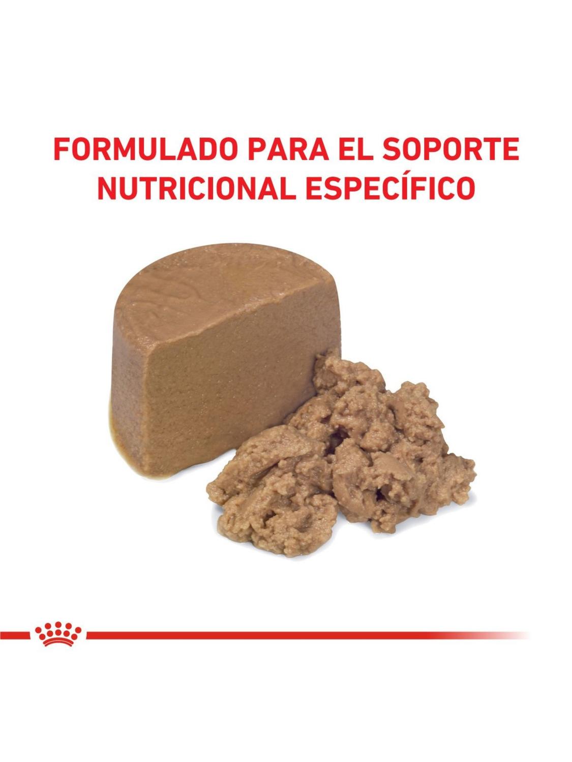 ALIMENTO ROYAL GASTROINTESTINAL CANINE PUPPY LATA 195 GR - 3