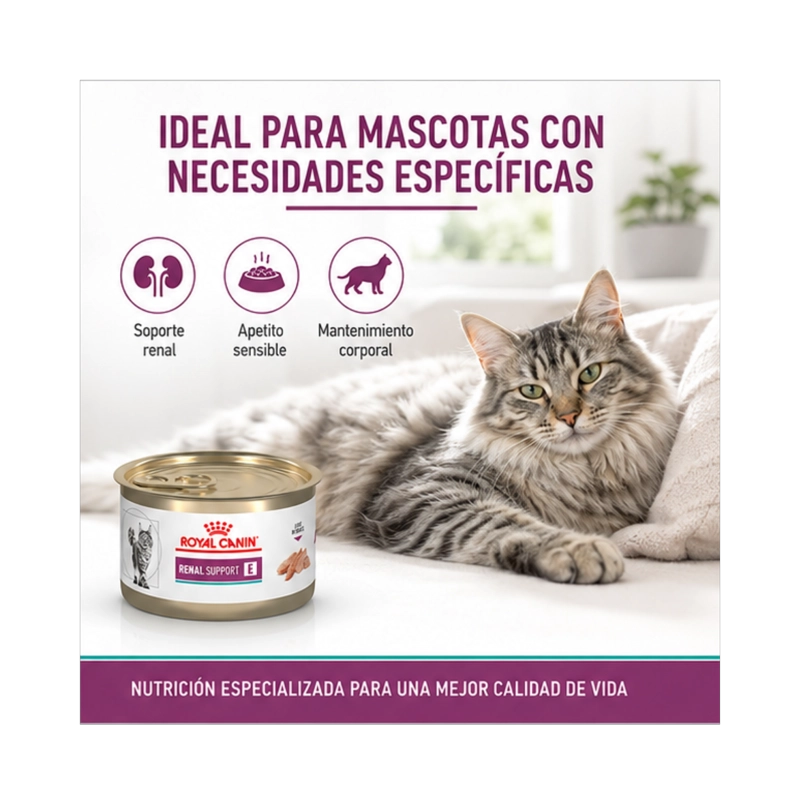ROYAL CANIN RENAL SUPPORT FELINE LATA 145G PARA GATOS - 5