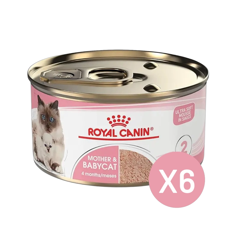 ROYAL CANIN MOTHER AND BABYCAT LATA 145GR | PACK 6 LATAS - 1