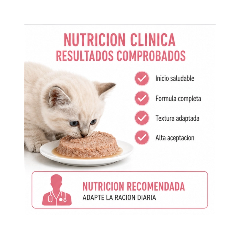 ROYAL CANIN MOTHER AND BABYCAT LATA 145GR | PACK 6 LATAS - 3