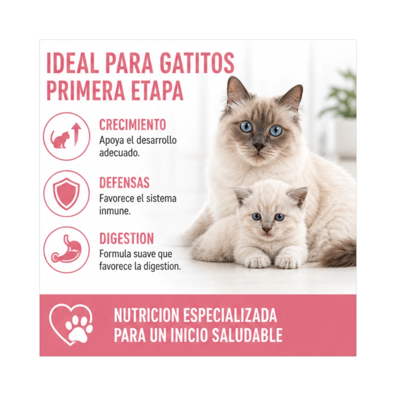 ROYAL CANIN MOTHER AND BABYCAT LATA 145GR | PACK 6 LATAS - 4