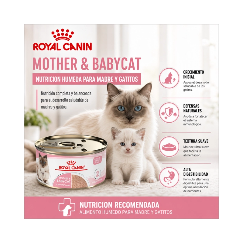 ROYAL CANIN MOTHER AND BABYCAT LATA 145GR | PACK 6 LATAS - 5