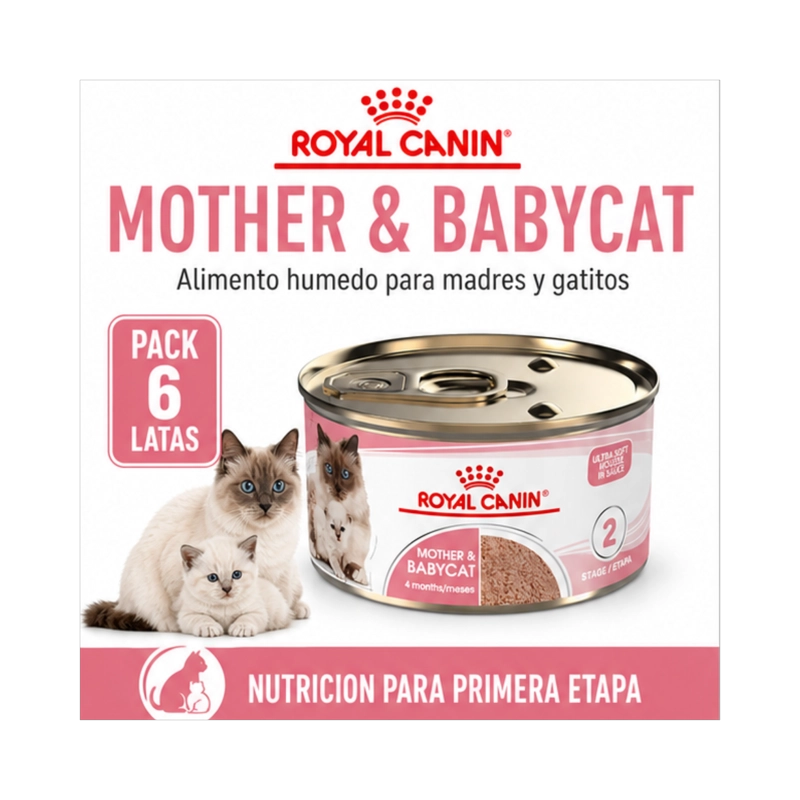 ROYAL CANIN MOTHER AND BABYCAT LATA 145GR | PACK 6 LATAS - 6