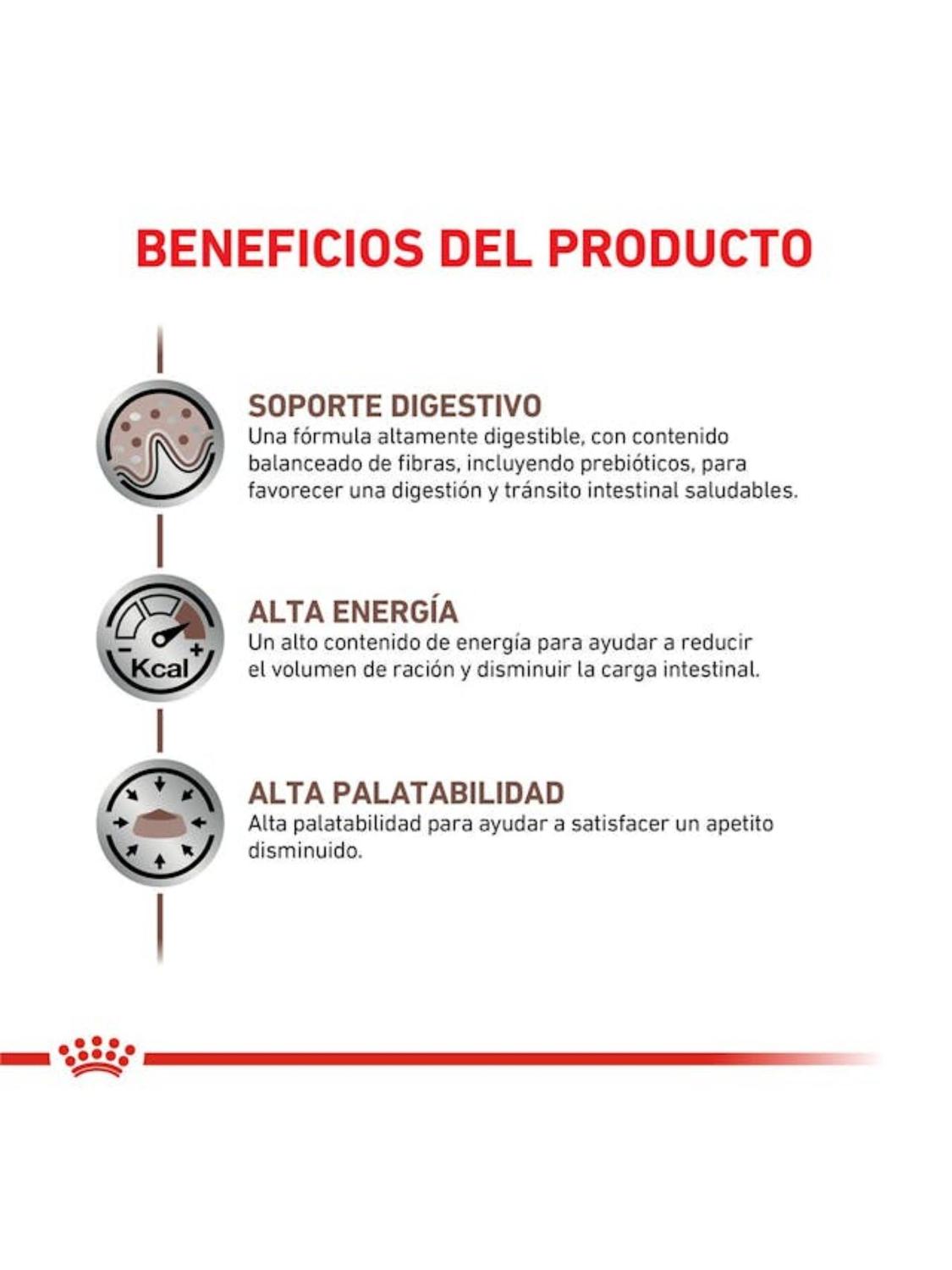 ALIMENTO ROYAL CANIN GASTROINTESTINAL SACO 2 KILO - 2