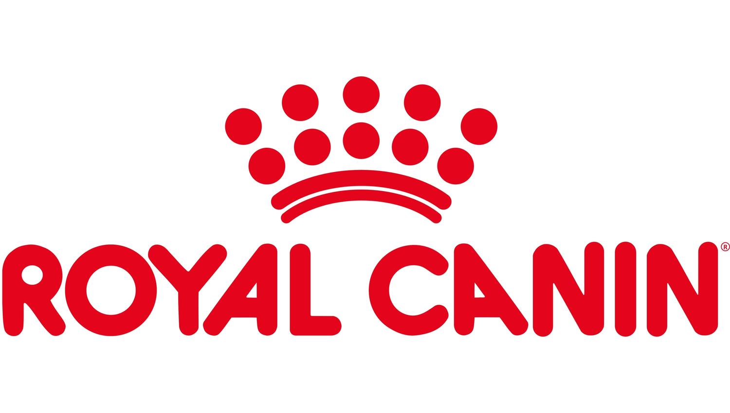 ALIMENTO ROYAL CANIN GASTROINTESTINAL SACO 2 KILO - 4