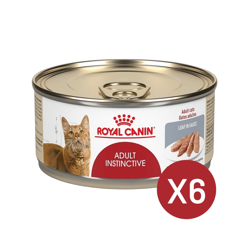 ROYAL CANIN ADULT INSTINCTIVE LATA 145GR | PACK 6 LATAS - 1