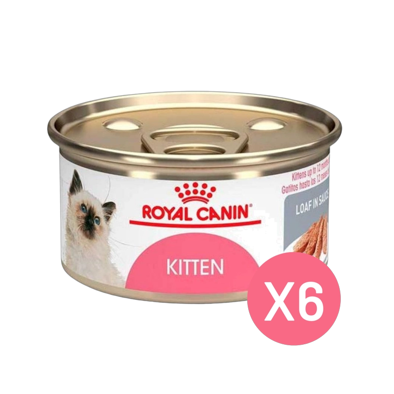 ROYAL CANIN KITTEN INSTINCTIVE LATA 145GR | PACK 6 LATAS - 1