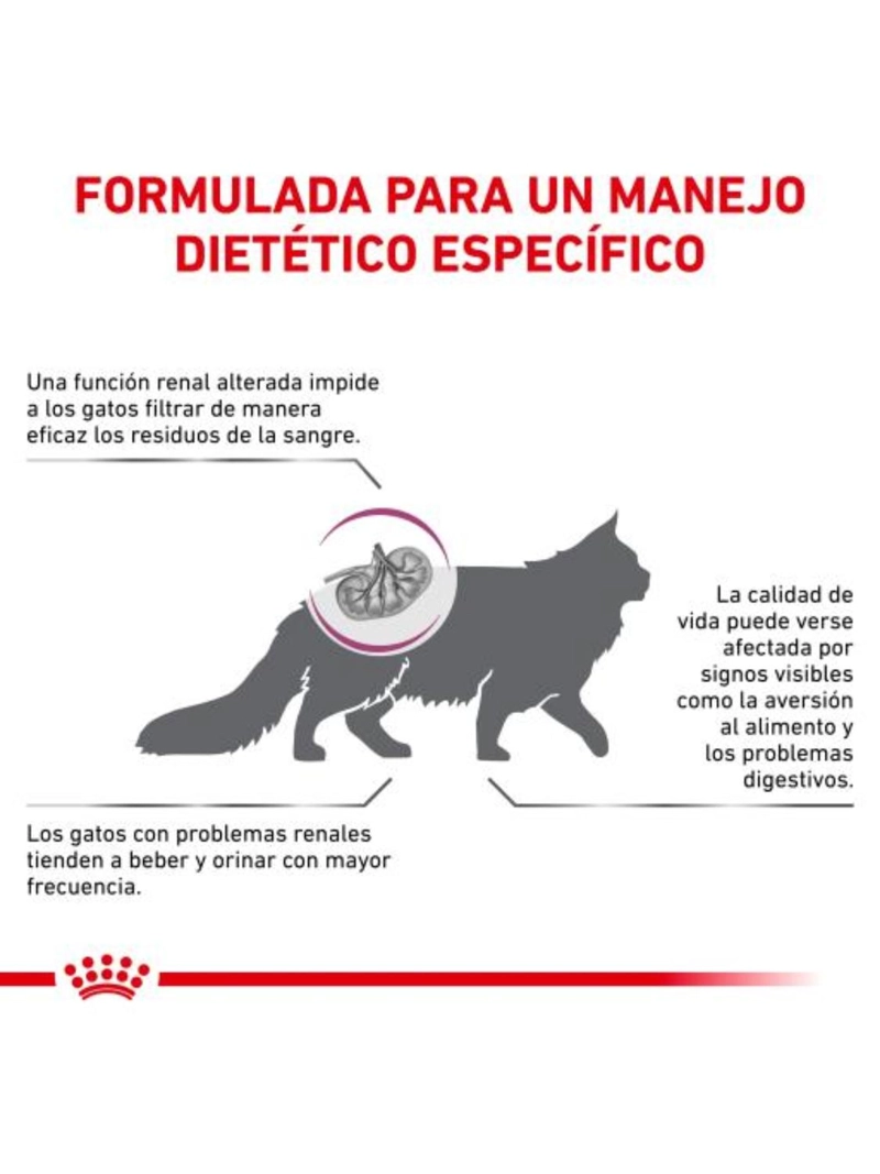 ROYAL FELINE RENAL SACO 2 KILO - 2
