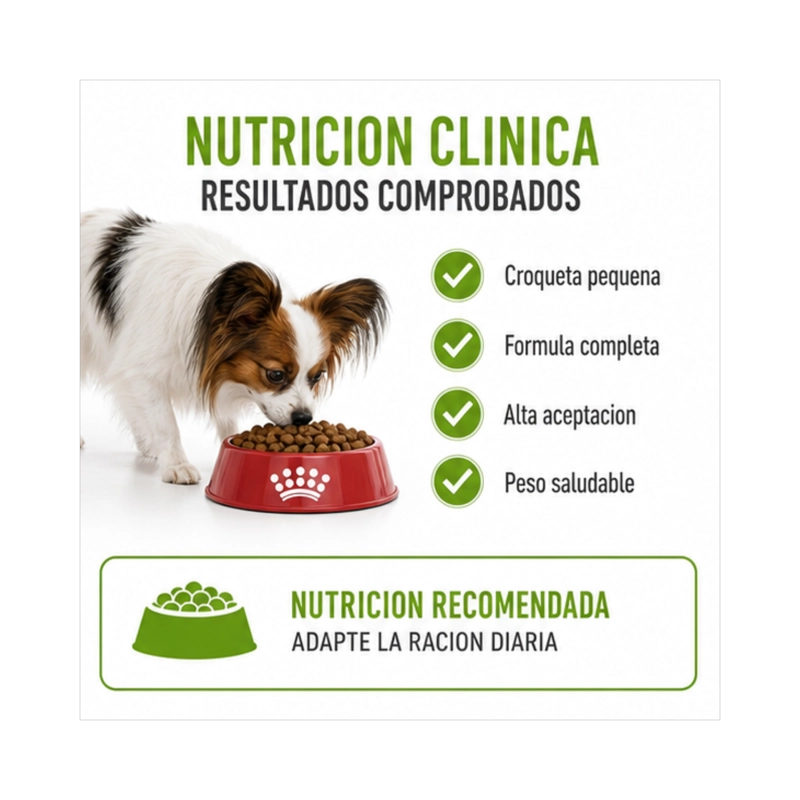 ROYAL CANIN X-SMALL ADULTO 1 KG - 3