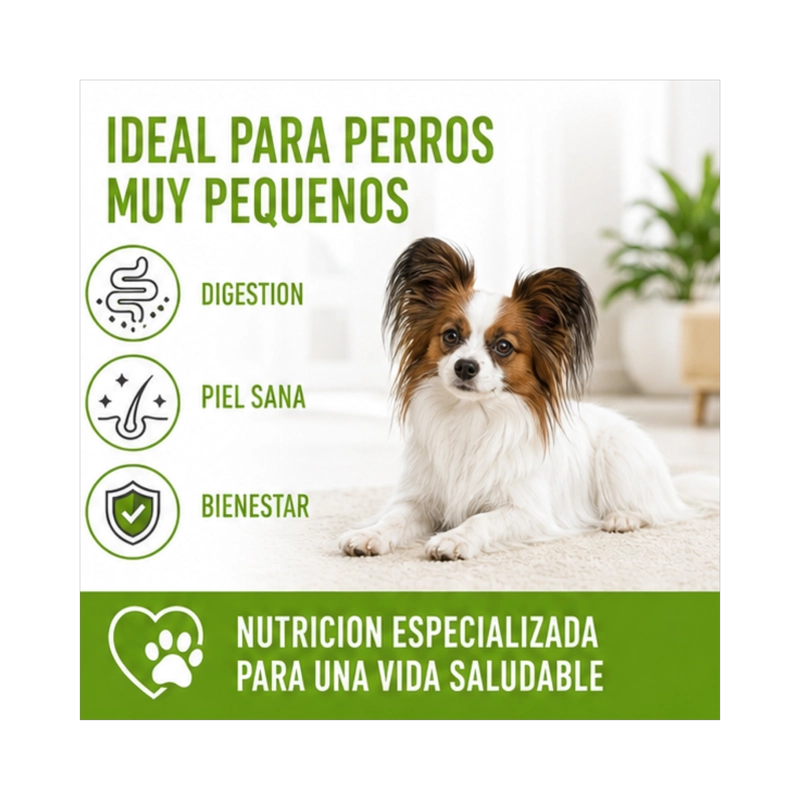 ROYAL CANIN X-SMALL ADULTO 1 KG - 4