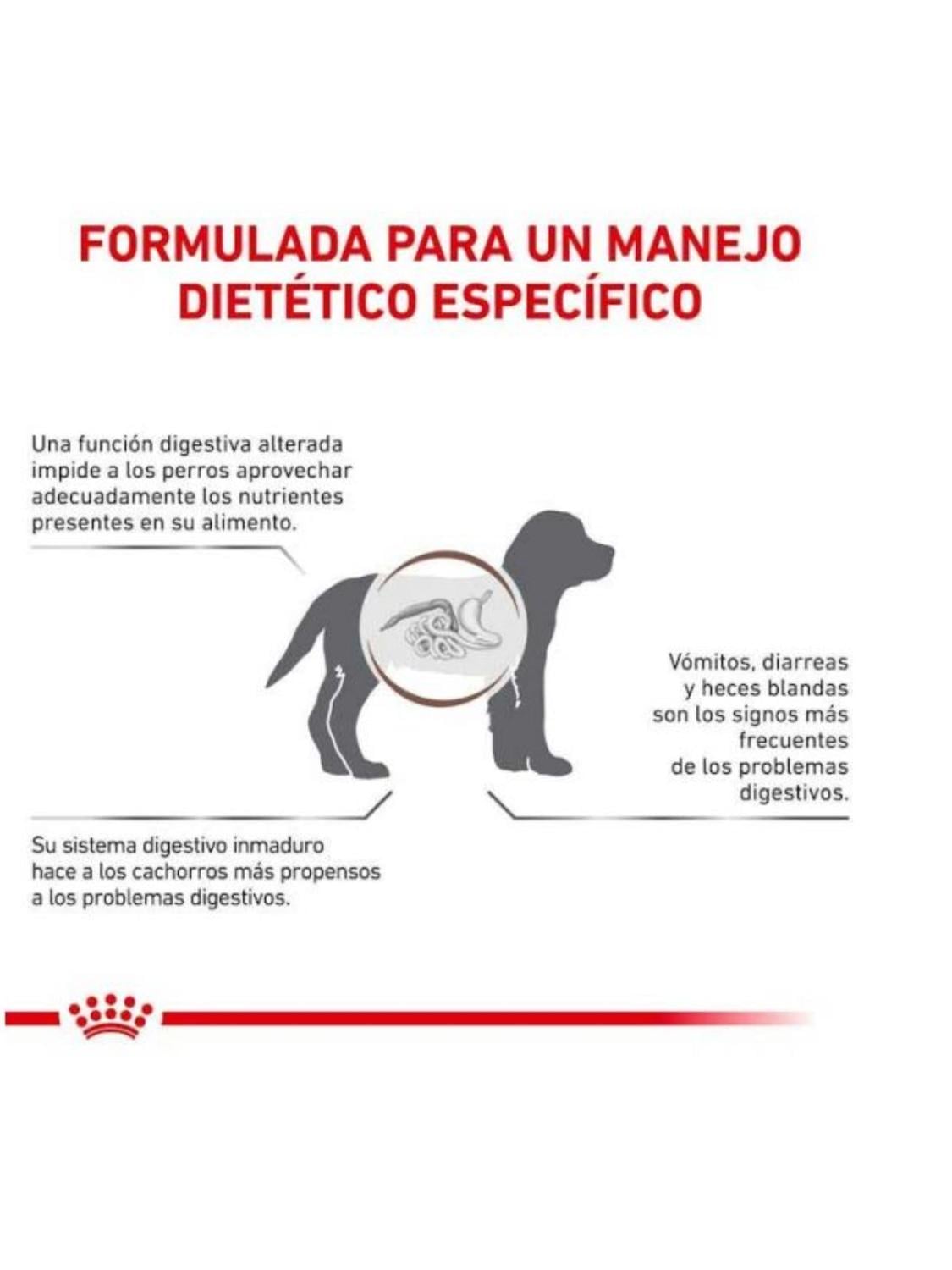 ALIMENTO ROYAL CANIN GASTROINTESTINAL CANINE PUPPY 1KG - 2