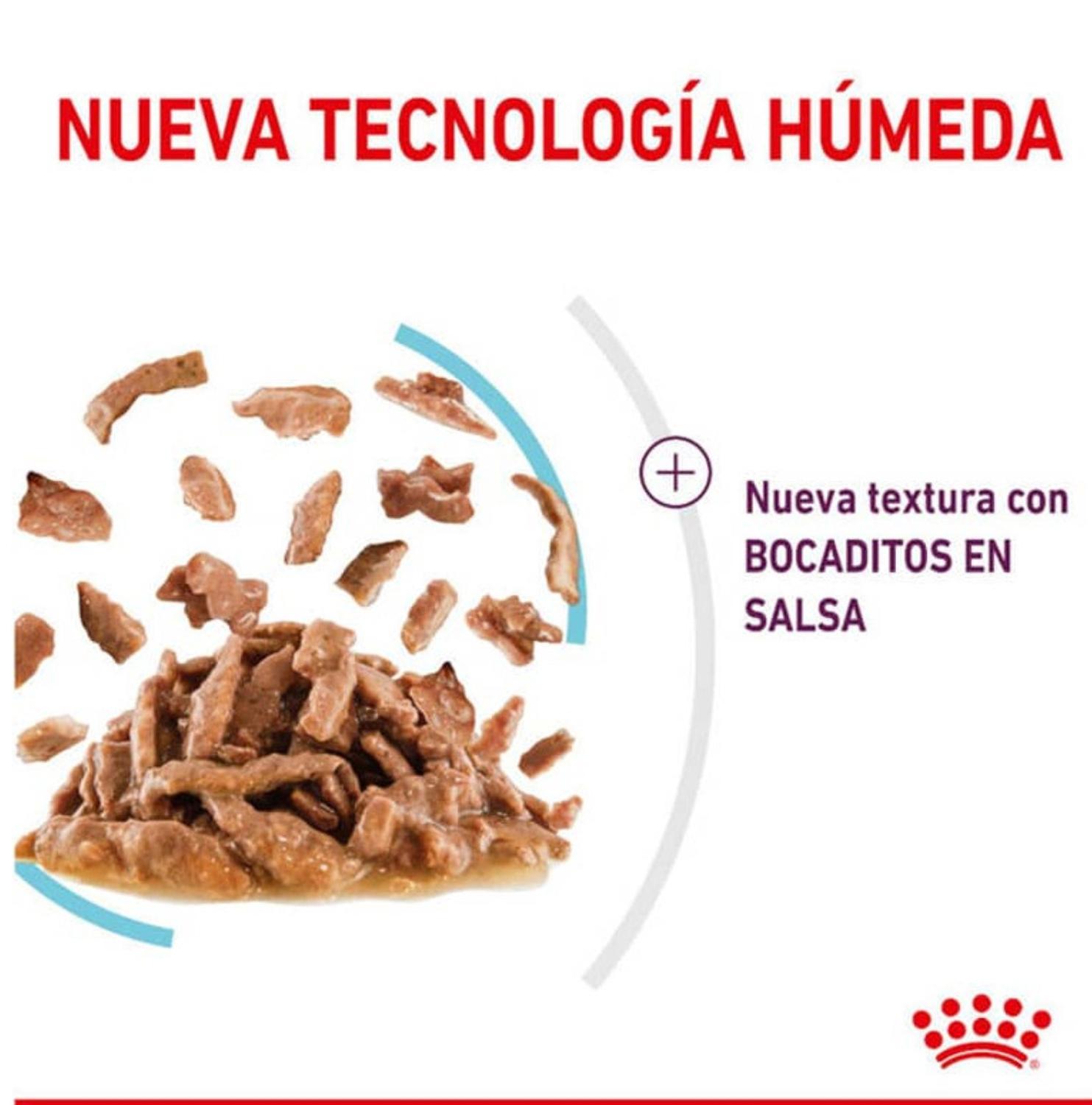 ALIMENTO ROYAL CANIN SENSORY FEEL PARA GATO - SOBRE DE 85 GR - 2