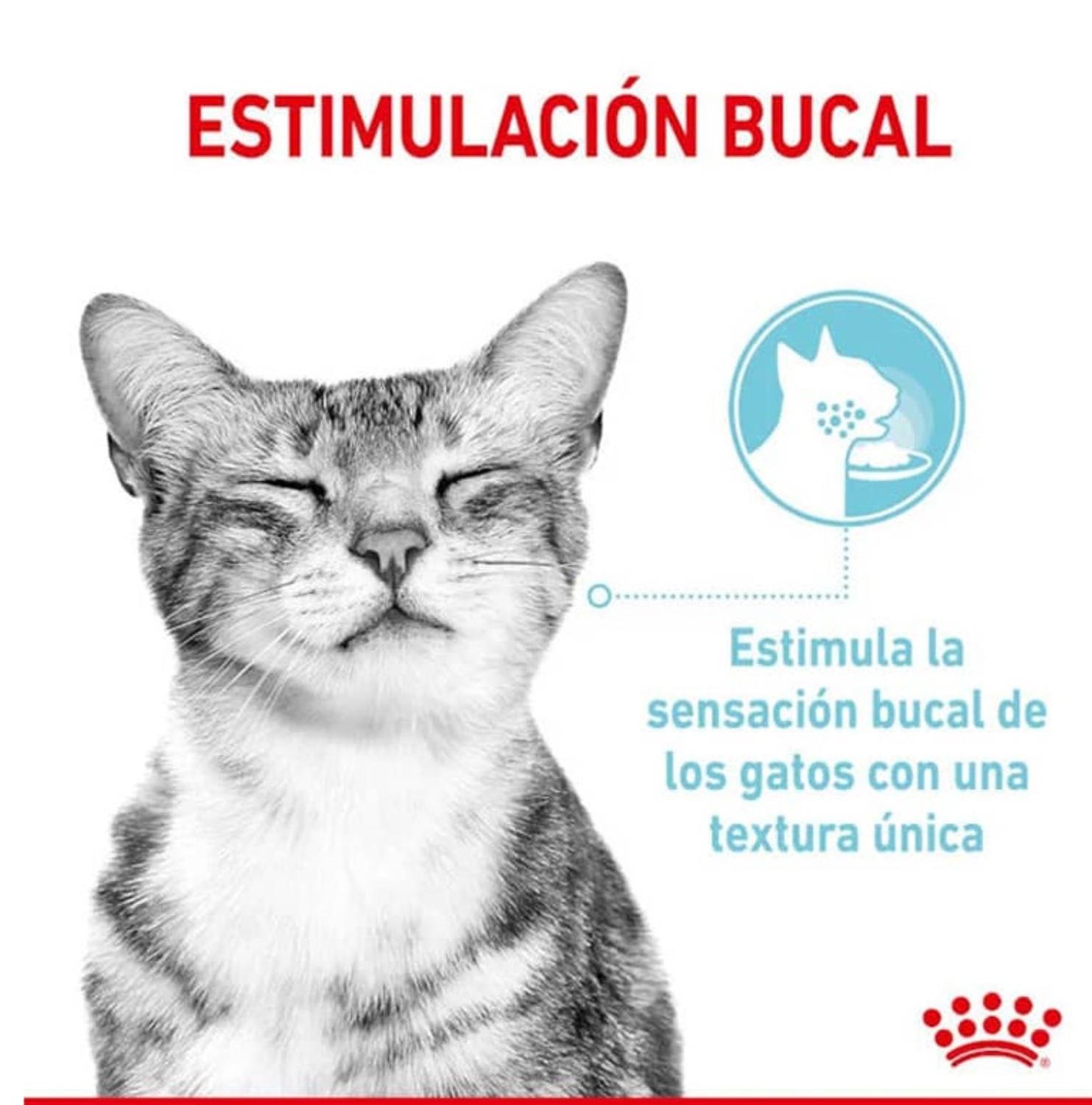 ALIMENTO ROYAL CANIN SENSORY FEEL PARA GATO - SOBRE DE 85 GR - 3