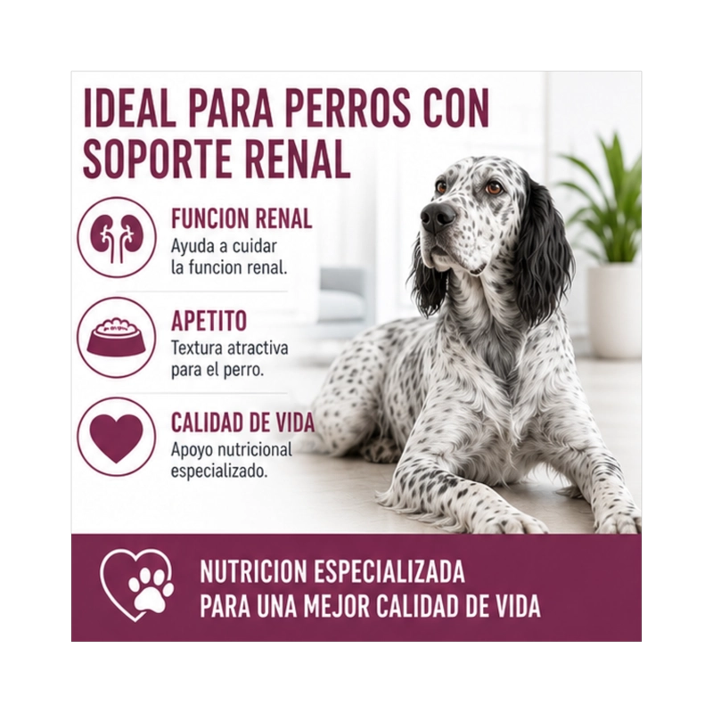 ROYAL CANIN RENAL SUPPORT LATA 385GR | PACK 6 LATAS - 4