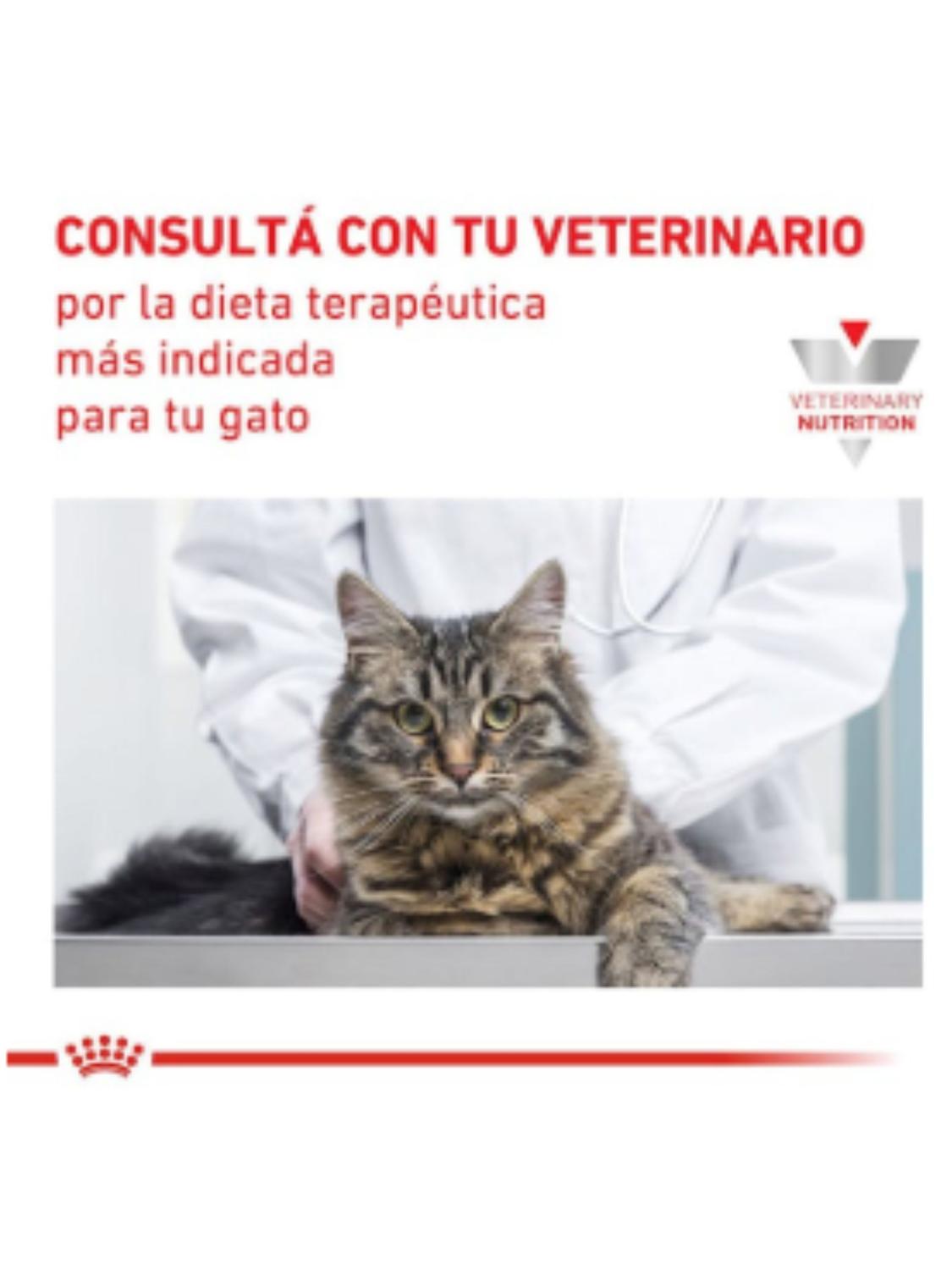 ROYAL CANIN POUCH GASTROINTESTINAL GATO 85G (12 UNIDADES) - 4