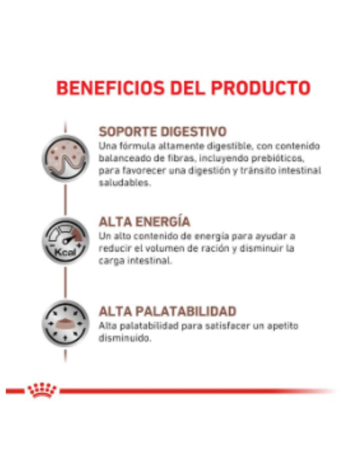 ROYAL CANIN POUCH GASTROINTESTINAL GATO 85G (12 UNIDADES) - 5